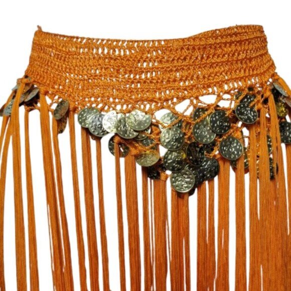 Hip Skirt Belly Dance Tassels Fringe Skirt Bellydance Coins and Fringe Hip Scarf - Picture 2 of 11